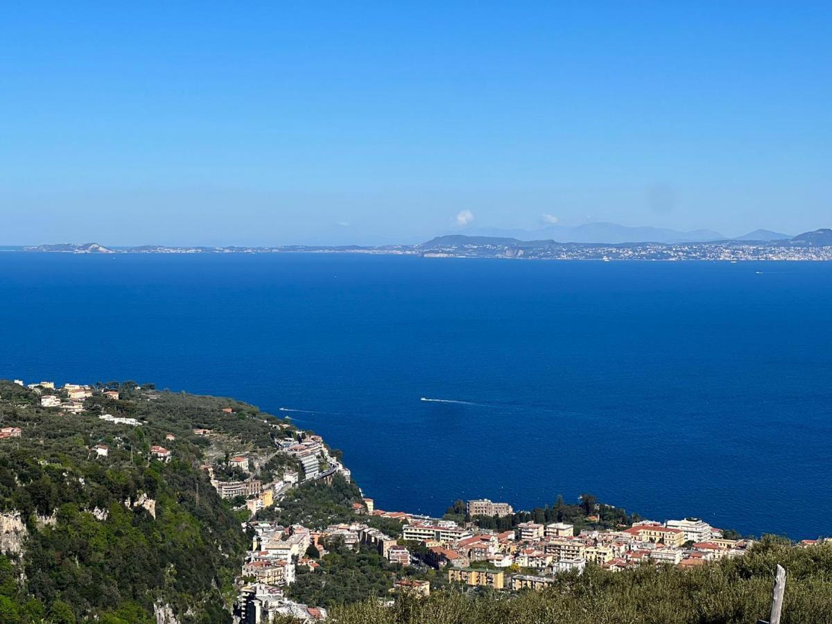 Вилла Agriturismo Le Grottelle Сант-Агата-суи-Дуэ-Гольфи Экстерьер фото